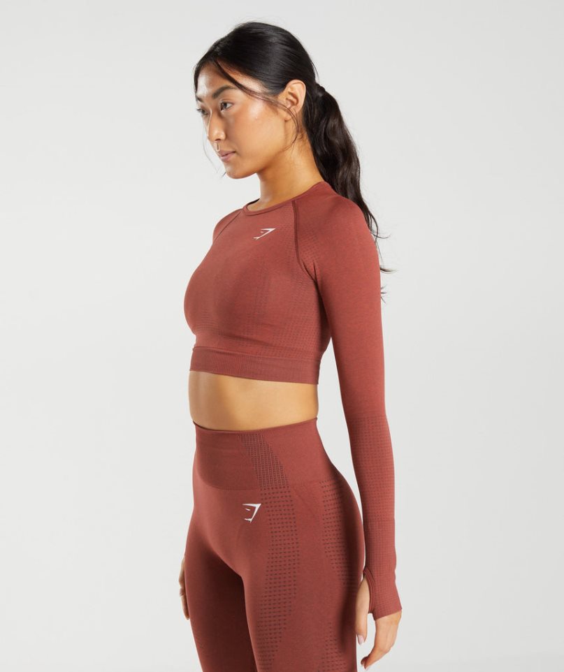 Women's Gymshark Vital Seamless 2.0 Cropped Tops Brown | CA 08D156